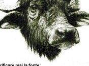 proposito delle diffide Facebook della vita reale