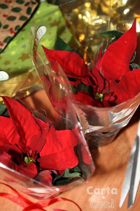 La Piccola Poinsettia (Tutorial Farlocco)