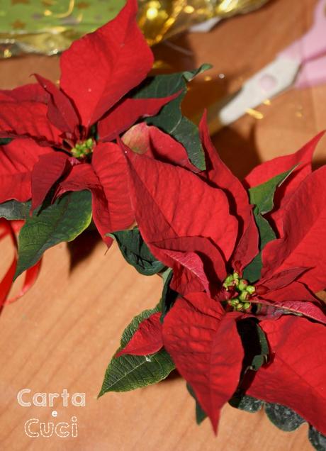 La Piccola Poinsettia (Tutorial Farlocco)