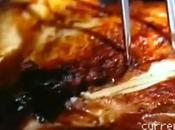 quelli mangio solo carne bianca”