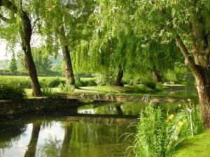 La Finestra sul Fiume ambiente_1
