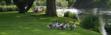 La Finestra sul Fiume oche-nel-parco
