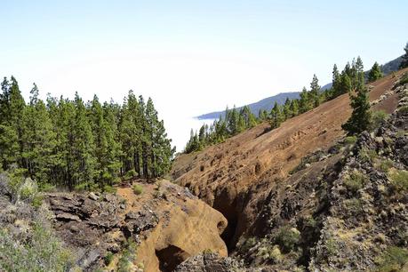 (it) Los Arcos canyon, Tenerife.