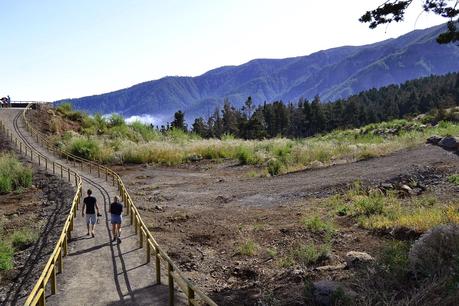 (it) Los Arcos canyon, Tenerife.