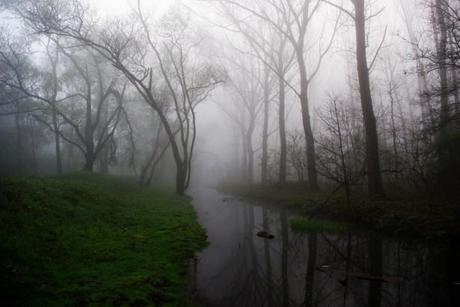 Immagine di Lode Van de Velde