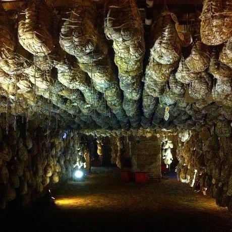 L'Antica Corte Pallavicina, il culatello, Althea e l'impiattamento secondo Massimo Spigaroli