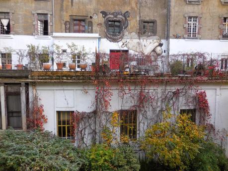 Parigi: un soffice manto di ginkgo biloba