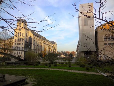 Parigi: un soffice manto di ginkgo biloba