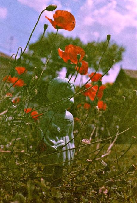 Clementine The Clonette Doll & Poppies on super expired film