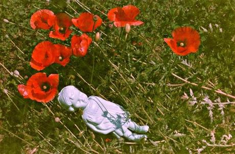 Clementine The Clonette Doll & Poppies on super expired film