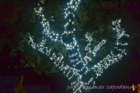 NATALE; Accensione albero e luminarie a Positano