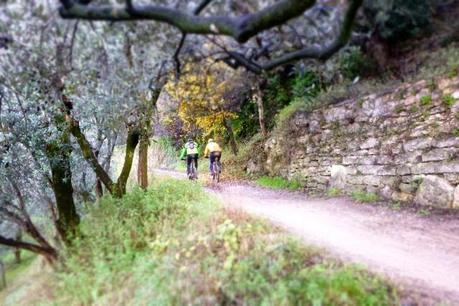 #mtb #07122014 #dorsalemarseghina #fangazzamanontroppo #Marco #Matteo #front