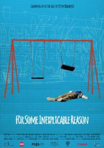 for_some_inexplicable_reason_poster