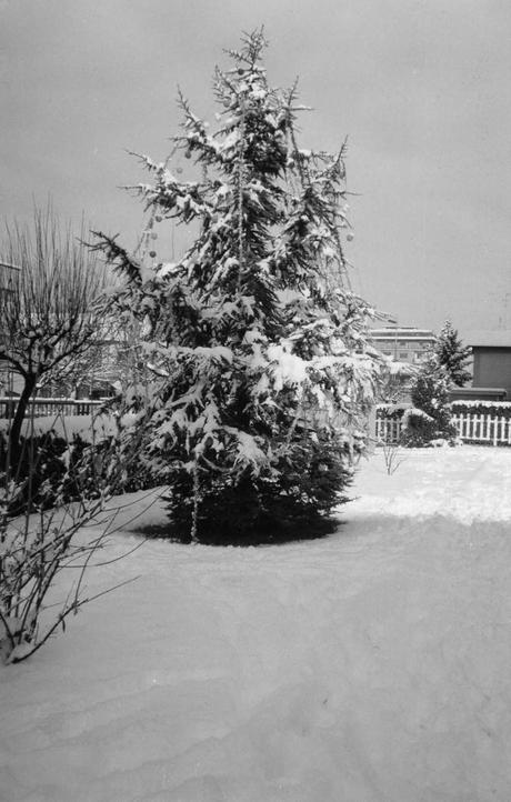 Aspettando il Natale