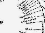 Addio corsivo: Finlandia abbandonerà 2016