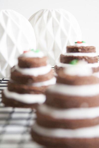 Biscotti di Natale al cioccolato 