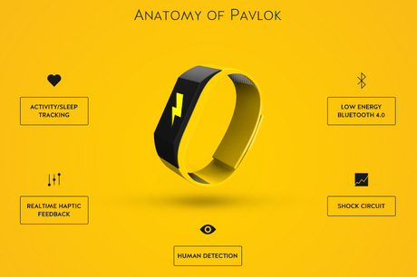 V2_PAVLOK