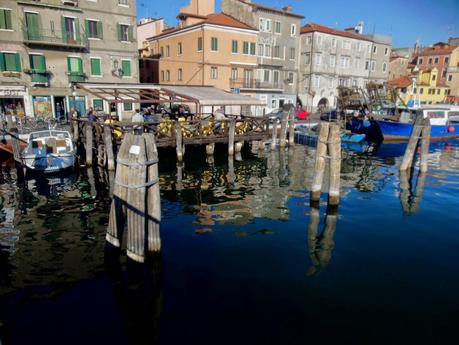 chioggia