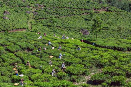 MUNNAR - Capitolo 3