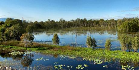 Zone umide: nuova mappa mondiale delle aree naturali idonee