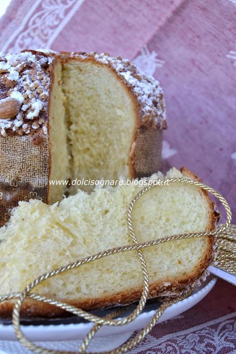 Briochine natalizie e finto-panettone