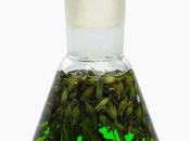 L'eterna giovinezza della Regina d'Ungheria acqua aromatica