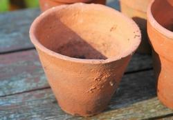 Vasi in terracotta