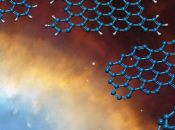 Spogliarello molecolare Olanda