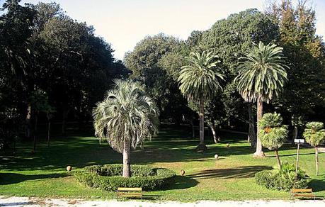 Viareggio - Villa Borbone - Parco