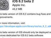 Apple rilascia seconda Beta agli sviluppatori
