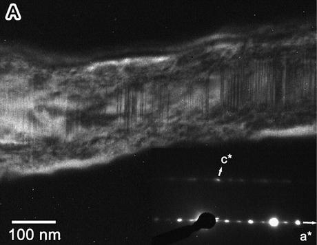 Polvere di cometa