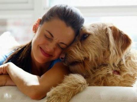 Avere un cane rende più felici.