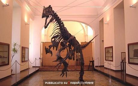 Un Natale al museo alla scoperta del Museo di Paleontologia
