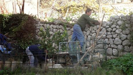 Il costruttore di macere (muri a secco, senza malta).