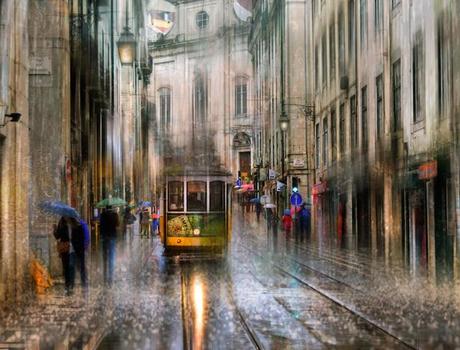 Under-The-Rain-Photography_ilovegreen_6