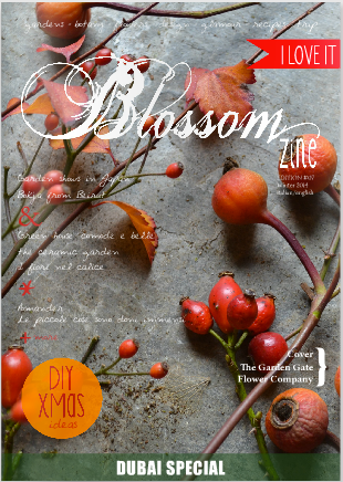Blossomzine winter issue 2014