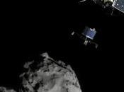 Rosetta notizia dell’anno