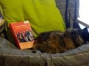 Copia-e-incolla Danny Wallace