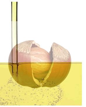 PIccola guida agli oli di semi, quelli buoni per la salute