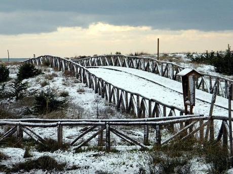 Viareggio - Nevicata dicembre 2009 