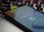 Whatsapp lavorando Chat Client basata