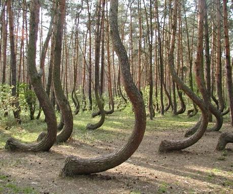 Quando l'uomo sa integrarsi nella natura e integrarla nella sua vita