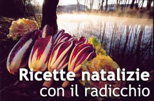 Ricette natalizie con il radicchio