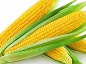Coltivazione mais