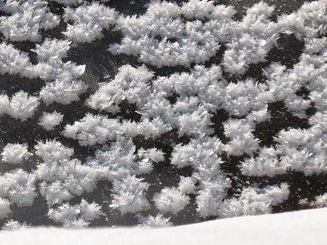 BUON GIORNO: STRANEZZE DEL PIANETA TERRA