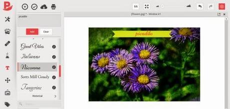 Picadilo: foto editing online gratuito