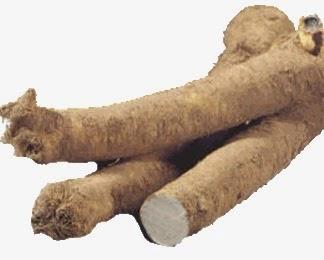 Il rafano, in cucina, in fitoterapia e sua coltivazione