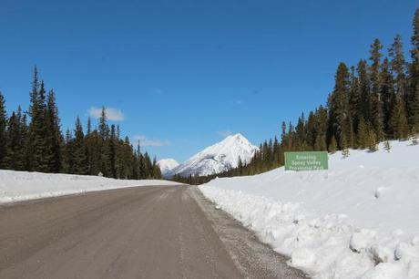 Spray Lakes Alberta Canada