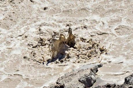 Rocca San Felice: fiabe, amore e leggende in provincia di Avellino