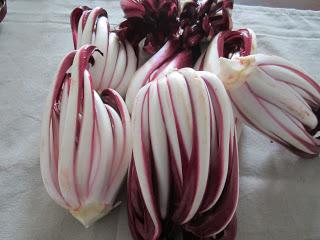 radicchio in agrodolce